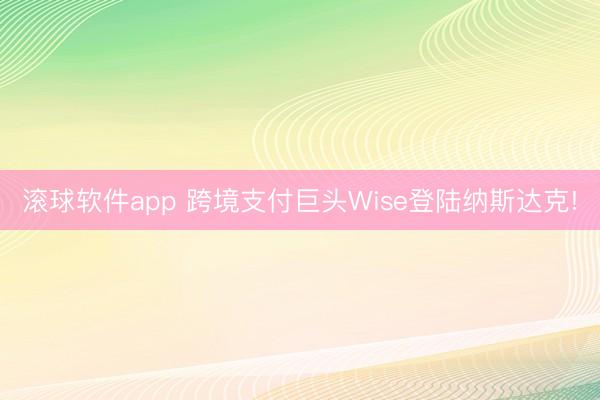 滚球软件app 跨境支付巨头Wise登陆纳斯达克!