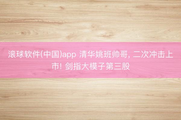 滚球软件(中国)app 清华姚班帅哥， 二次冲击上市! 剑指大模子第三股