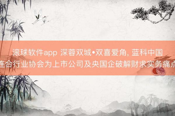 滚球软件app 深蓉双城•双喜爱角， 蓝科中国连合行业协会为上市公司及央国企破解财求实务痛点