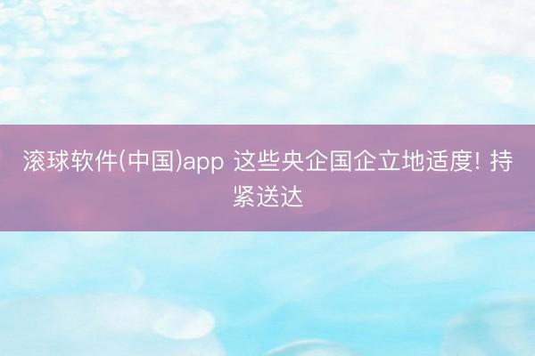 滚球软件(中国)app 这些央企国企立地适度! 持紧送达