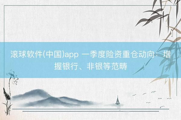 滚球软件(中国)app 一季度险资重仓动向:增握银行、非银等范畴