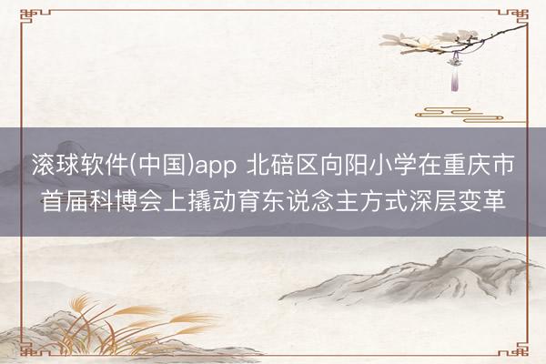 滚球软件(中国)app 北碚区向阳小学在重庆市首届科博会上撬动育东说念主方式深层变革