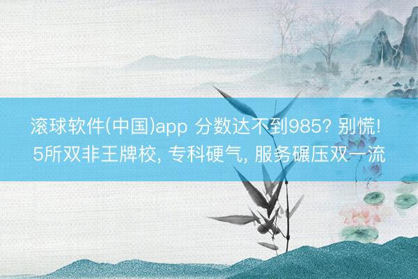 滚球软件(中国)app 分数达不到985? 别慌! 5所双非王牌校， 专科硬气， 服务碾压双一流
