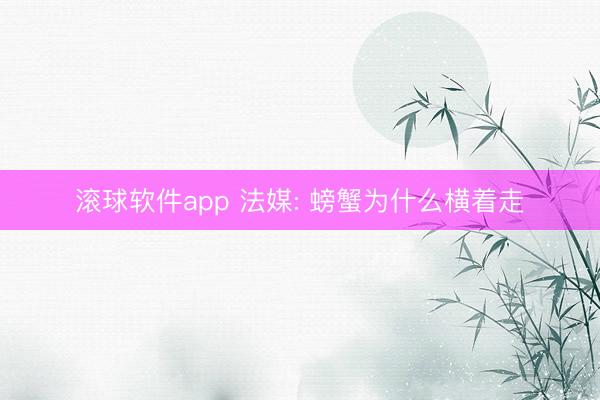 滚球软件app 法媒: 螃蟹为什么横着走