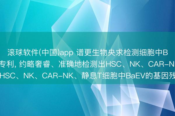 滚球软件(中国)app 谱更生物央求检测细胞中BaEV基因引物和探针专利, 约略奢睿、准确地检测出HSC、NK、CAR-NK、静息T细胞中BaEV的基因残留