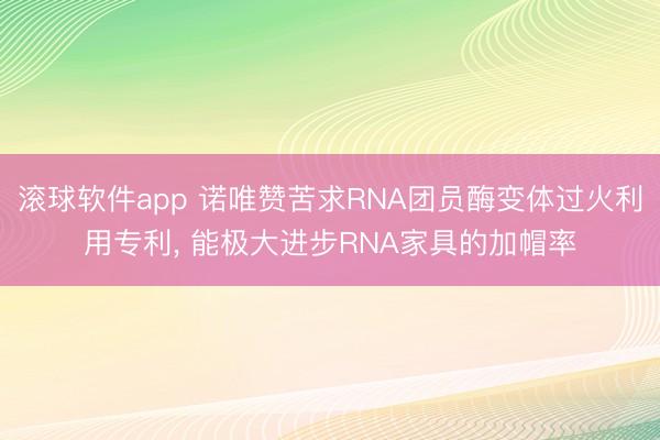 滚球软件app 诺唯赞苦求RNA团员酶变体过火利用专利， 能极大进步RNA家具的加帽率