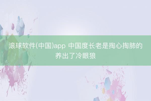 滚球软件(中国)app 中国度长老是掏心掏肺的养出了冷眼狼