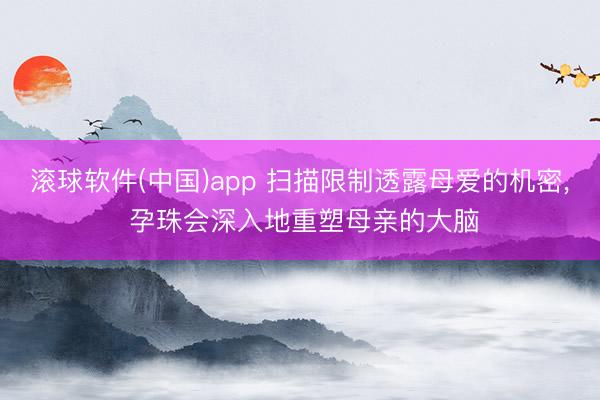 滚球软件(中国)app 扫描限制透露母爱的机密， 孕珠会深入地重塑母亲的大脑