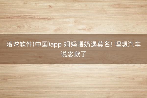 滚球软件(中国)app 姆妈喂奶遇莫名! 理想汽车说念歉了