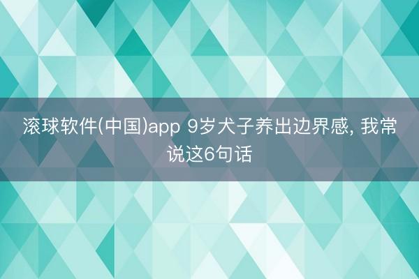 滚球软件(中国)app 9岁犬子养出边界感, 我常说这6句话