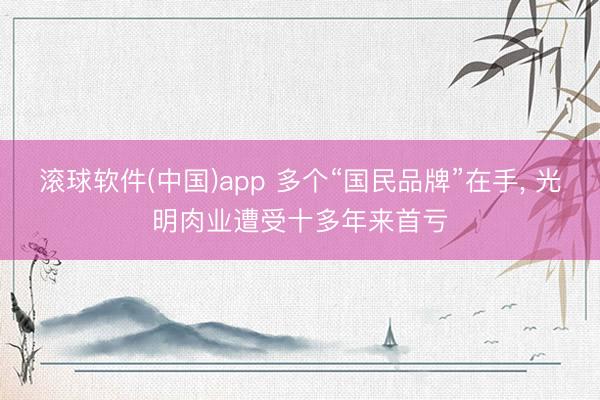 滚球软件(中国)app 多个“国民品牌”在手, 光明肉业遭受十多年来首亏