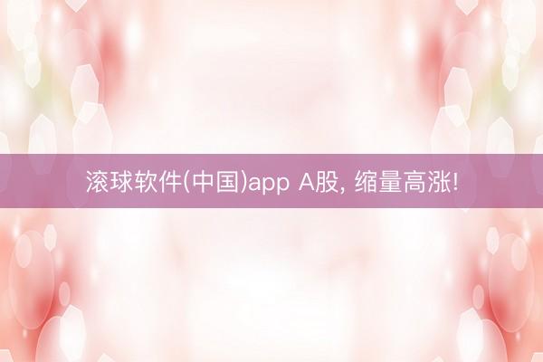 滚球软件(中国)app A股， 缩量高涨!