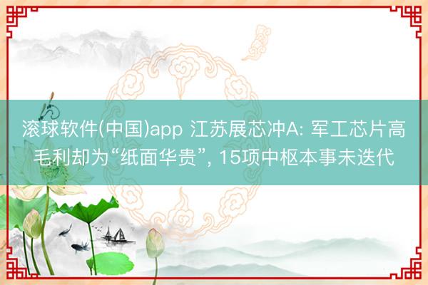 滚球软件(中国)app 江苏展芯冲A: 军工芯片高毛利却为“纸面华贵”， 15项中枢本事未迭代
