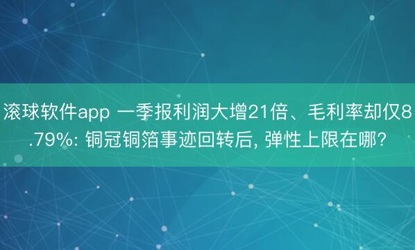 滚球软件app 一季报利润大增21倍、毛利率却仅8.79%: 铜冠铜箔事迹回转后， 弹性上限在哪?