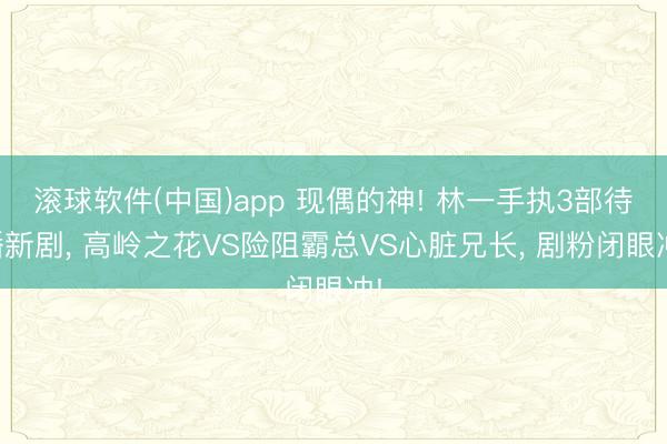 滚球软件(中国)app 现偶的神! 林一手执3部待播新剧， 高岭之花VS险阻霸总VS心脏兄长， 剧粉闭眼冲!