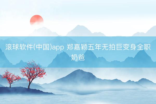 滚球软件(中国)app 郑嘉颖五年无拍巨变身全职奶爸