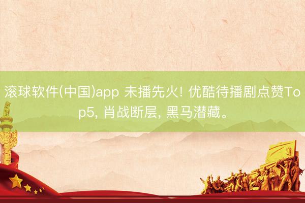 滚球软件(中国)app 未播先火! 优酷待播剧点赞Top5, 肖战断层, 黑马潜藏。