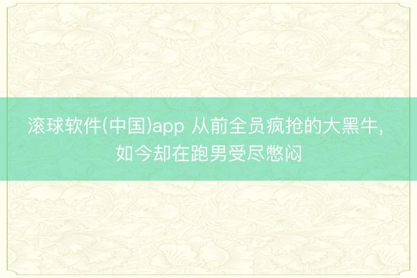 滚球软件(中国)app 从前全员疯抢的大黑牛, 如今却在跑男受尽憋闷