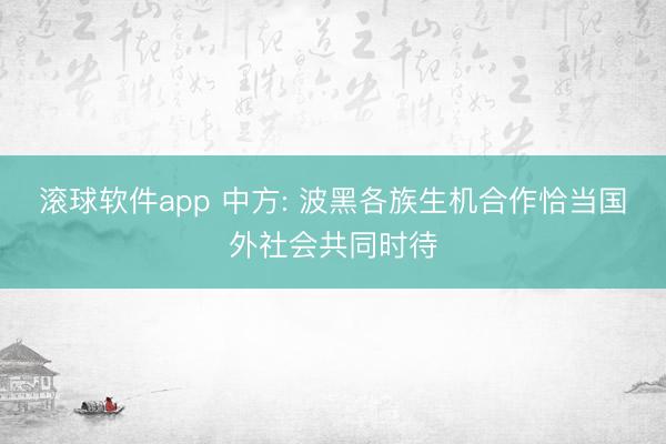 滚球软件app 中方: 波黑各族生机合作恰当国外社会共同时待