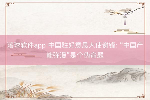 滚球软件app 中国驻好意思大使谢锋: “中国产能弥漫”是个伪命题