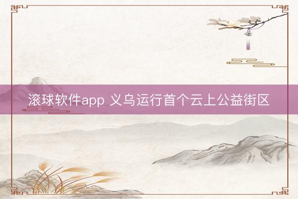 滚球软件app 义乌运行首个云上公益街区