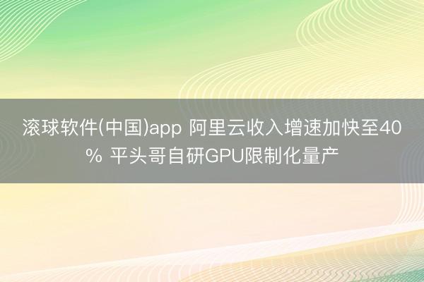 滚球软件(中国)app 阿里云收入增速加快至40% 平头哥自研GPU限制化量产