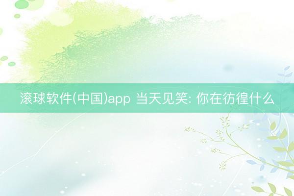 滚球软件(中国)app 当天见笑: 你在彷徨什么