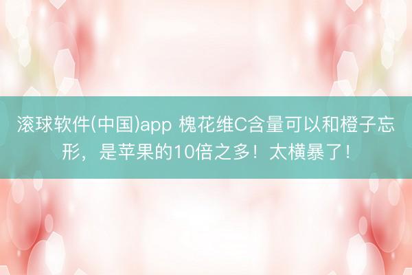 滚球软件(中国)app 槐花维C含量可以和橙子忘形，是苹果的10倍之多！太横暴了！