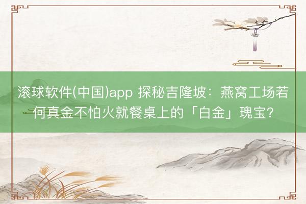 滚球软件(中国)app 探秘吉隆坡：燕窝工场若何真金不怕火就餐桌上的「白金」瑰宝？