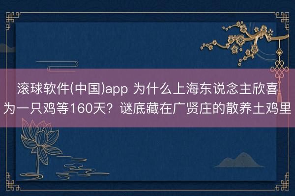滚球软件(中国)app 为什么上海东说念主欣喜为一只鸡等160天？谜底藏在广贤庄的散养土鸡里