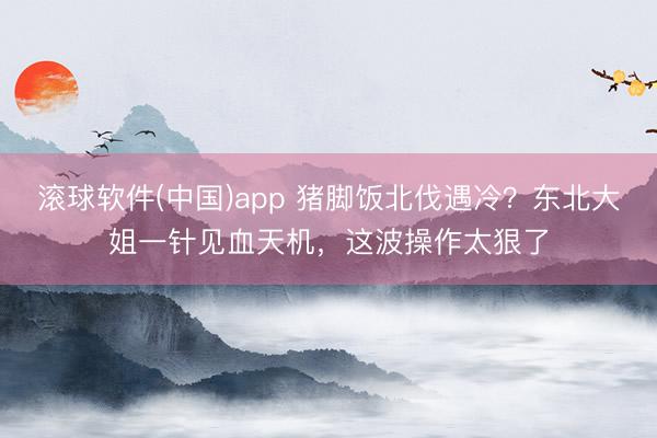 滚球软件(中国)app 猪脚饭北伐遇冷？东北大姐一针见血天机，这波操作太狠了