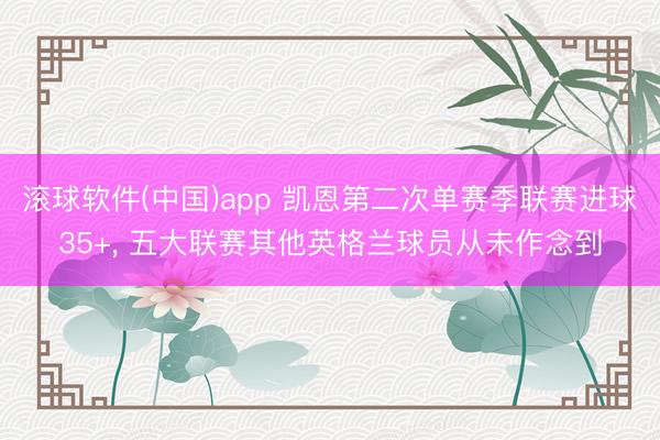 滚球软件(中国)app 凯恩第二次单赛季联赛进球35+， 五大联赛其他英格兰球员从未作念到