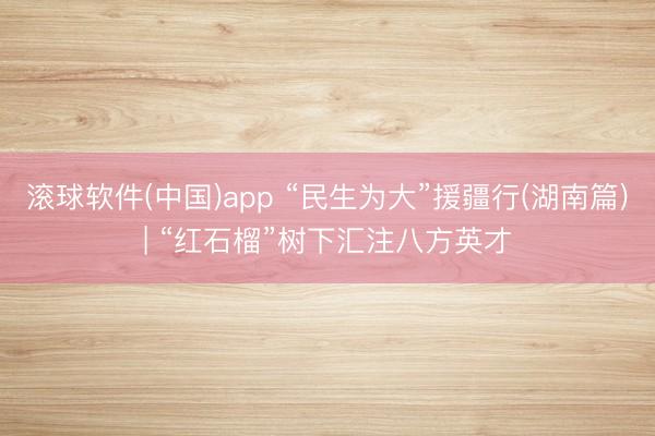 滚球软件(中国)app “民生为大”援疆行(湖南篇)| “红石榴”树下汇注八方英才
