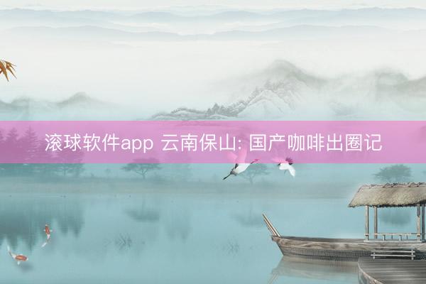 滚球软件app 云南保山: 国产咖啡出圈记