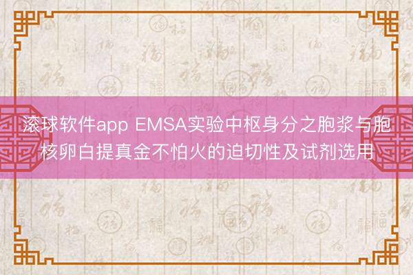 滚球软件app EMSA实验中枢身分之胞浆与胞核卵白提真金不怕火的迫切性及试剂选用