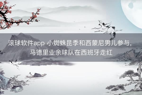 滚球软件app 小蜘蛛昆季和西蒙尼男儿参与， 马德里业余球队在西班牙走红