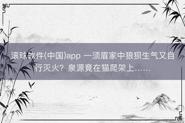 滚球软件(中国)app 一须眉家中狼狈生气又自行灭火？泉源竟在猫爬架上……