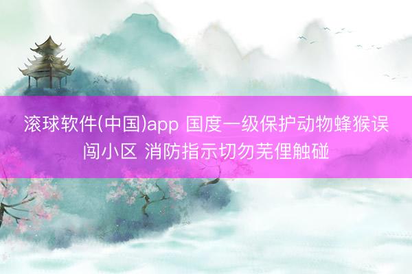 滚球软件(中国)app 国度一级保护动物蜂猴误闯小区 消防指示切勿芜俚触碰