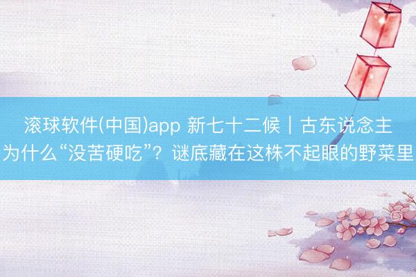 滚球软件(中国)app 新七十二候｜古东说念主为什么“没苦硬吃”？谜底藏在这株不起眼的野菜里