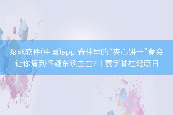滚球软件(中国)app 脊柱里的“夹心饼干”竟会让你痛到怀疑东谈主生?| 寰宇脊柱健康日