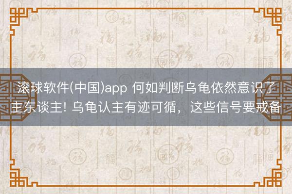 滚球软件(中国)app 何如判断乌龟依然意识了主东谈主! 乌龟认主有迹可循，这些信号要戒备