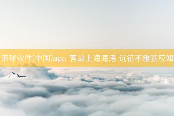 滚球软件(中国)app 客战上海海港 远征不雅赛应知