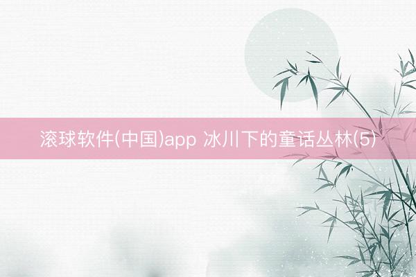 滚球软件(中国)app 冰川下的童话丛林(5)