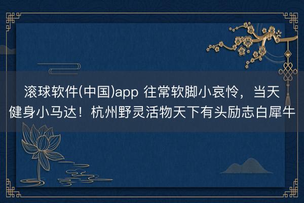滚球软件(中国)app 往常软脚小哀怜，当天健身小马达！杭州野灵活物天下有头励志白犀牛