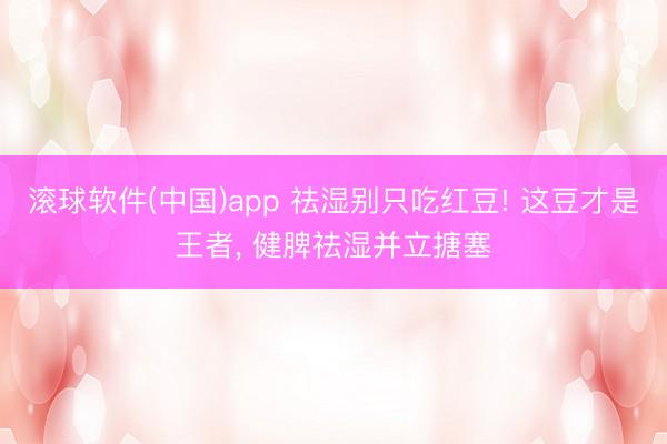 滚球软件(中国)app 祛湿别只吃红豆! 这豆才是王者， 健脾祛湿并立搪塞
